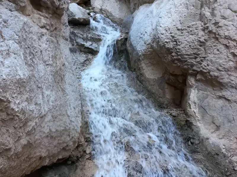 چشمه بژن