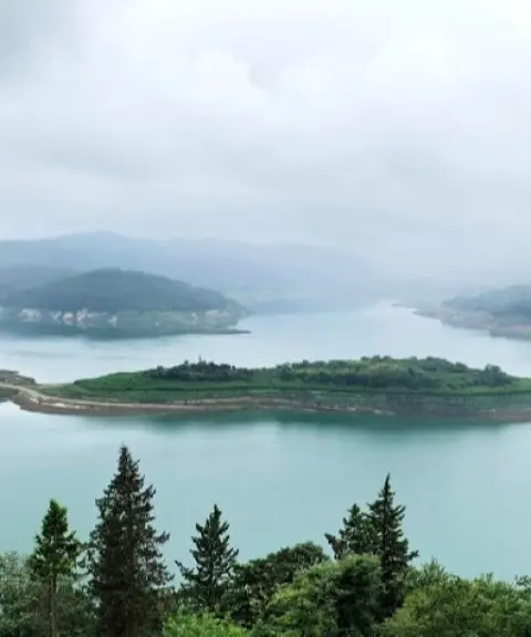 جنگل لفور، مازندران
