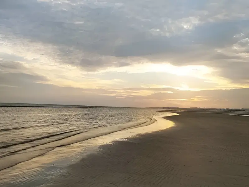 ساحل نقاشه