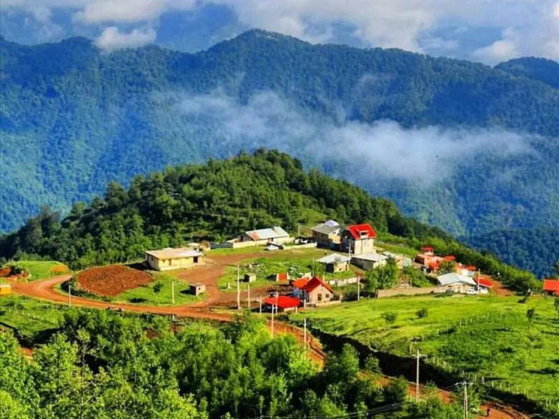 ییلاق هالیدشت - تصویر 6