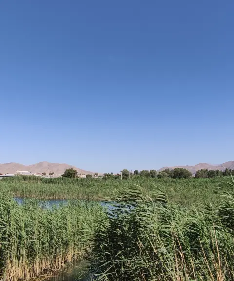 سراب ماران، کرمانشاه
