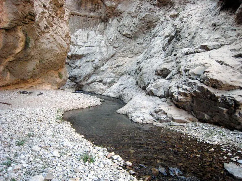 تنگ تهی - تصویر 5