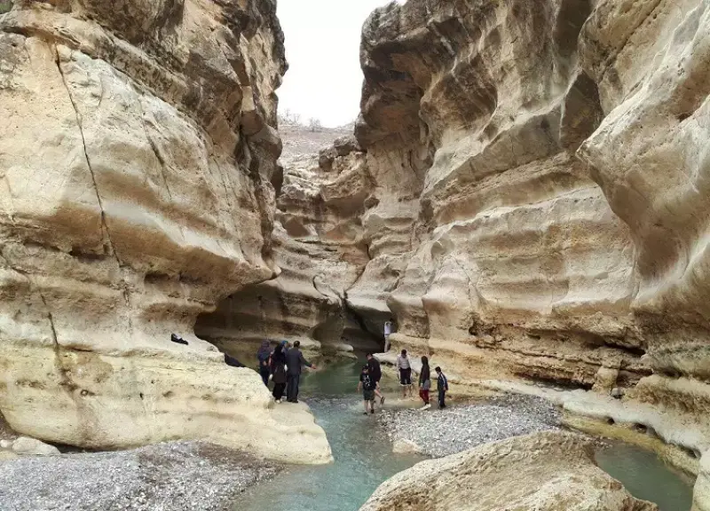 تنگ رازیانه ایلام - تصویر 3