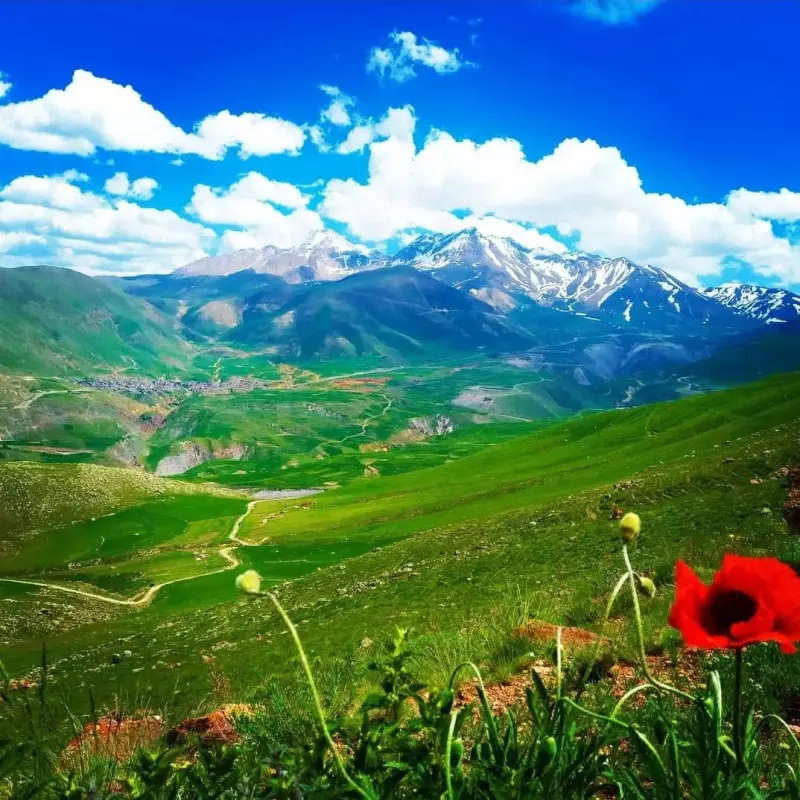 روستای موئیل - تصویر 7