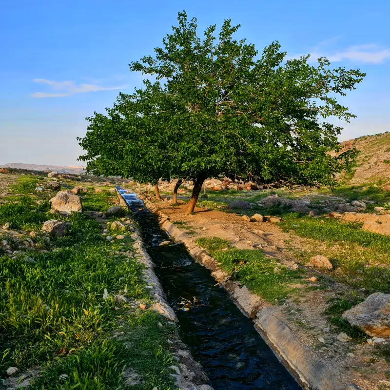 روستای بزنگان - تصویر 5