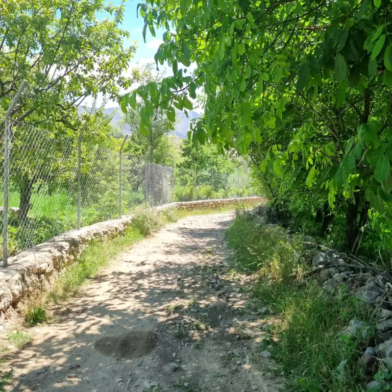 روستای بلغور - تصویر 8
