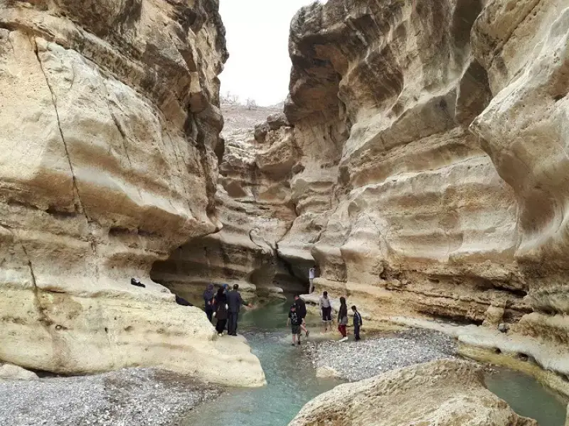 تنگ رازیانه ایلام - تصویر 3