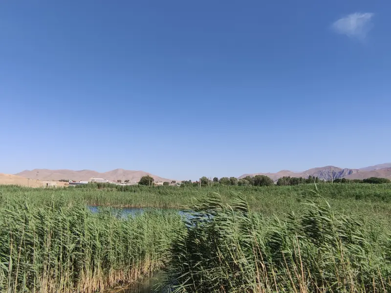 سراب ماران