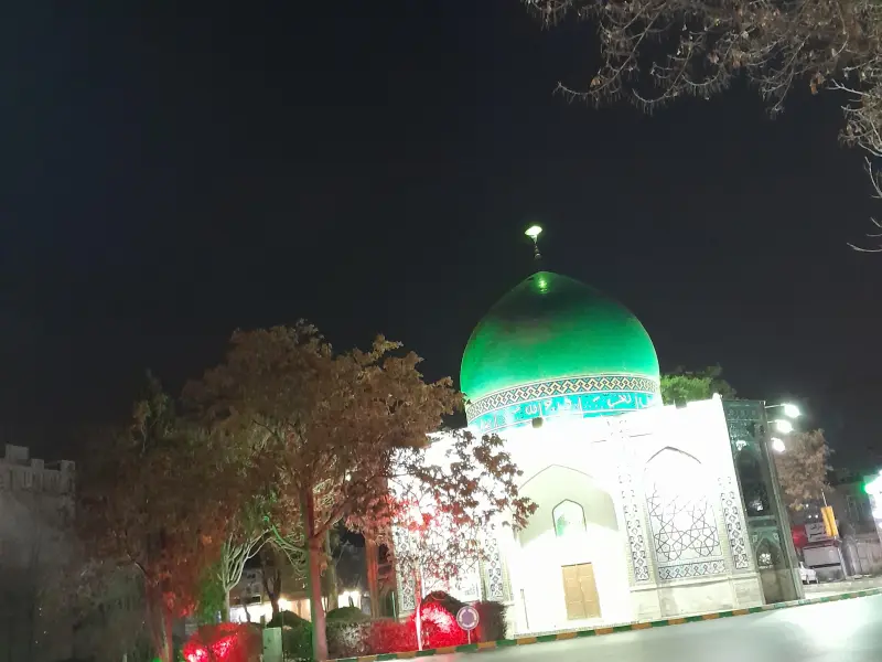گنبد سبز - تصویر 4
