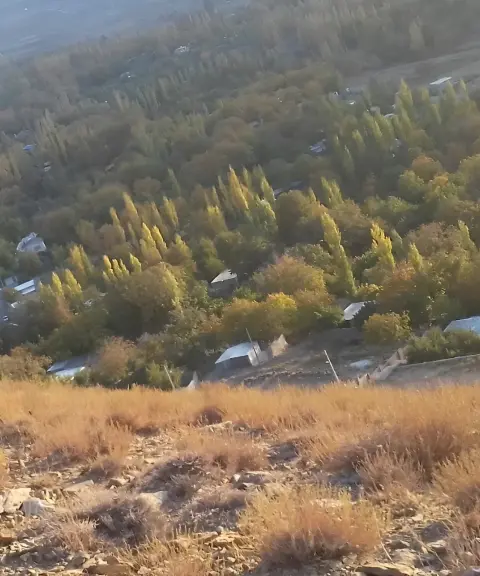 دهبکری، کرمان