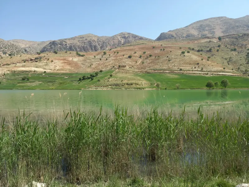 دریاچه مور زرد - تصویر 2