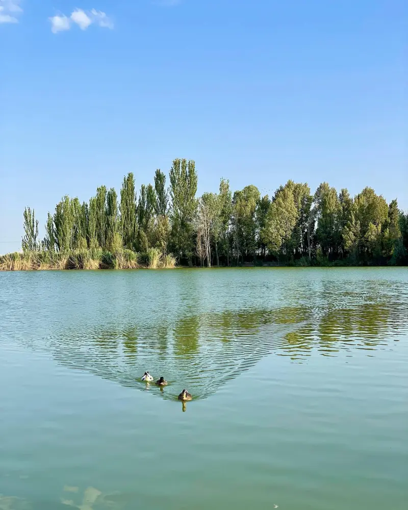 تالاب گلمرز - تصویر 1
