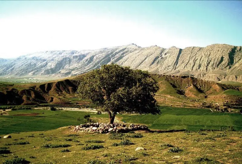 تنگ زنجیره - تصویر 2