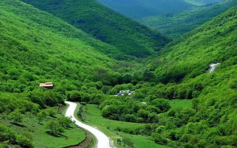 پارک ملی کیاسر - تصویر 4