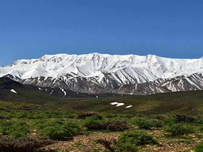 قالی کوه