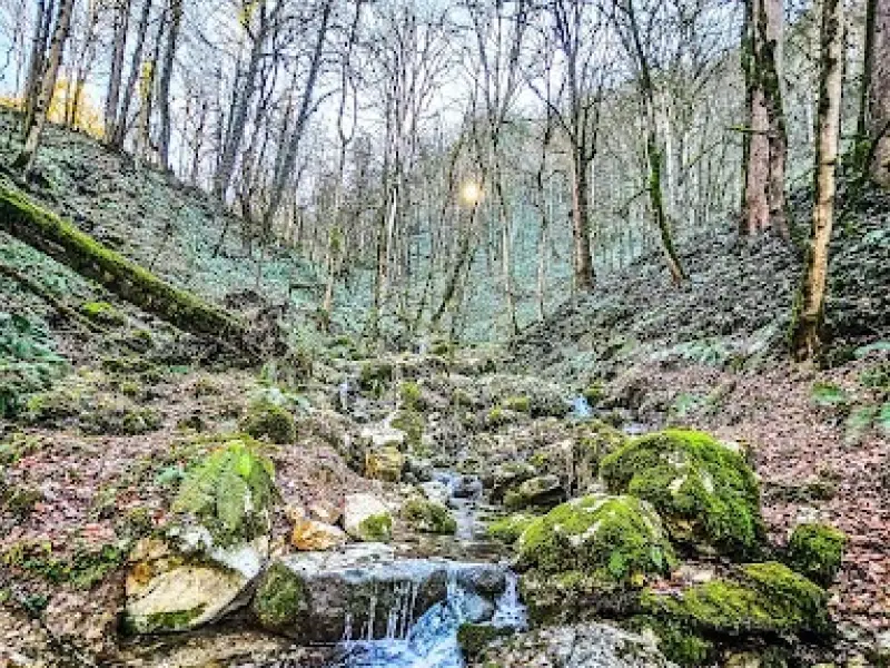 آبشار جینگوم