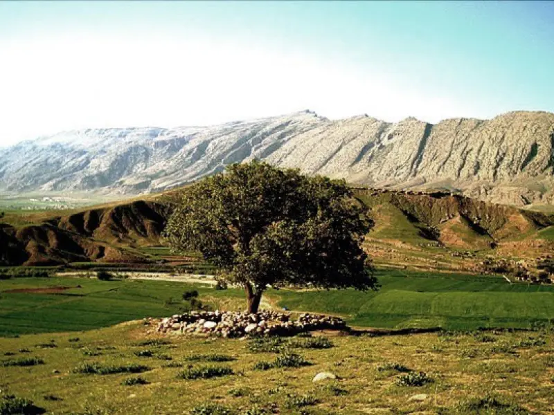 تنگ زنجیره - تصویر 2