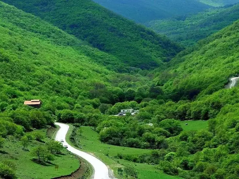 پارک ملی کیاسر - تصویر 4
