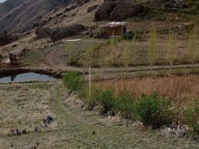 روستای کندر - تصویر 5