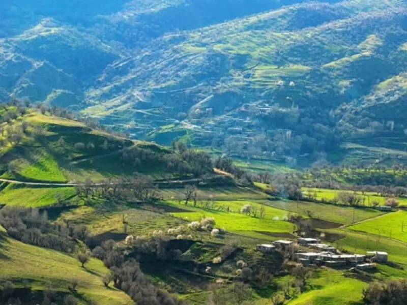 تفرجگاه سورین - تصویر 1