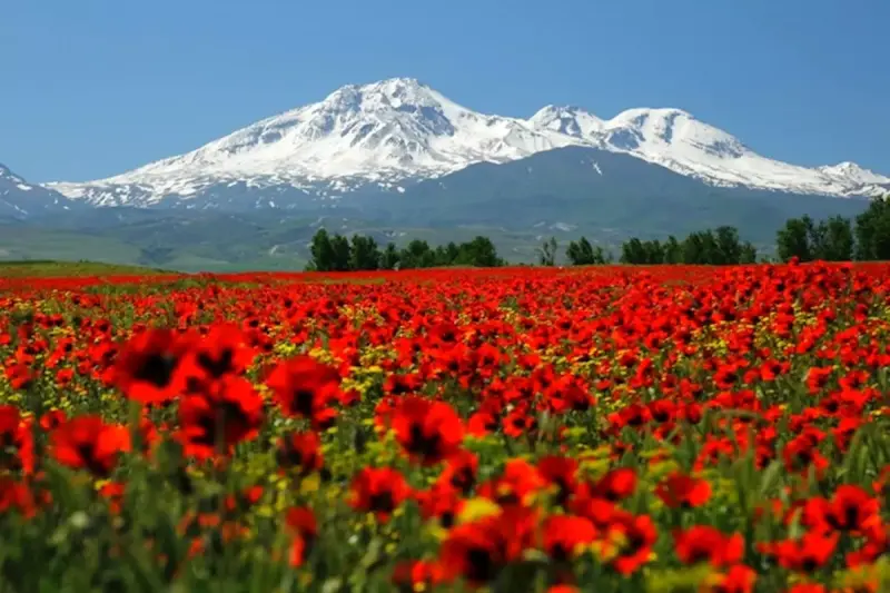 کوه سبلان - تصویر 6