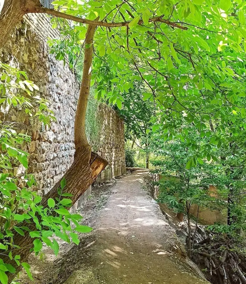 روستای زایگان - تصویر 4