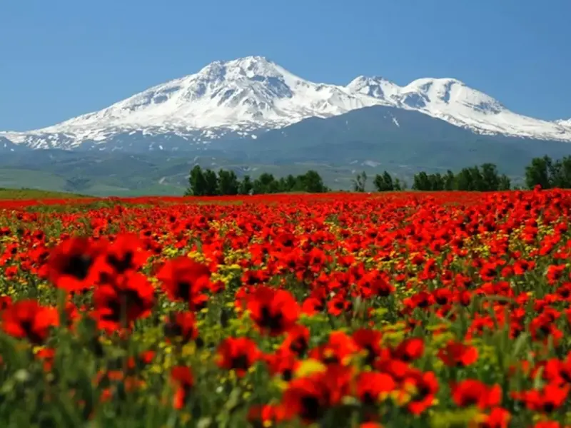 کوه سبلان - تصویر 6