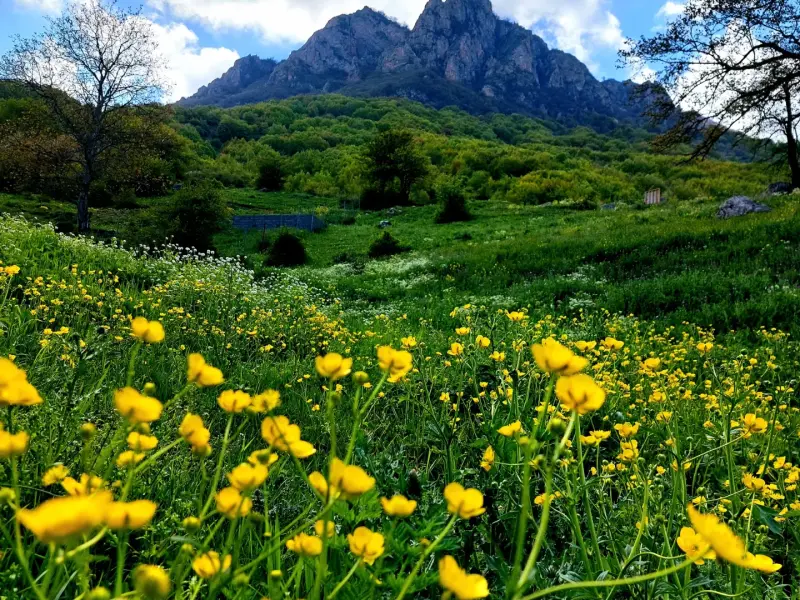 روستای اوریم - تصویر 3