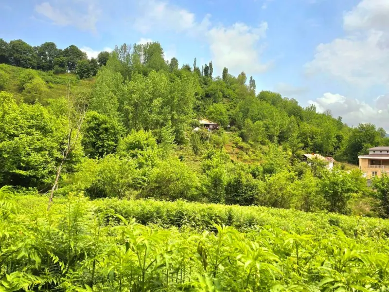 روستای چوشل - تصویر 3