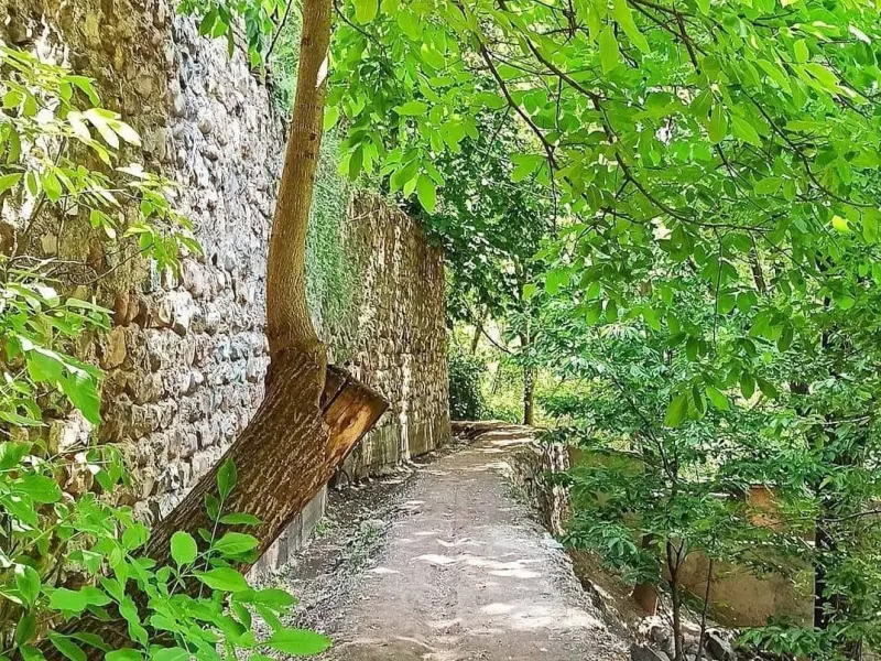 روستای زایگان - تصویر 4