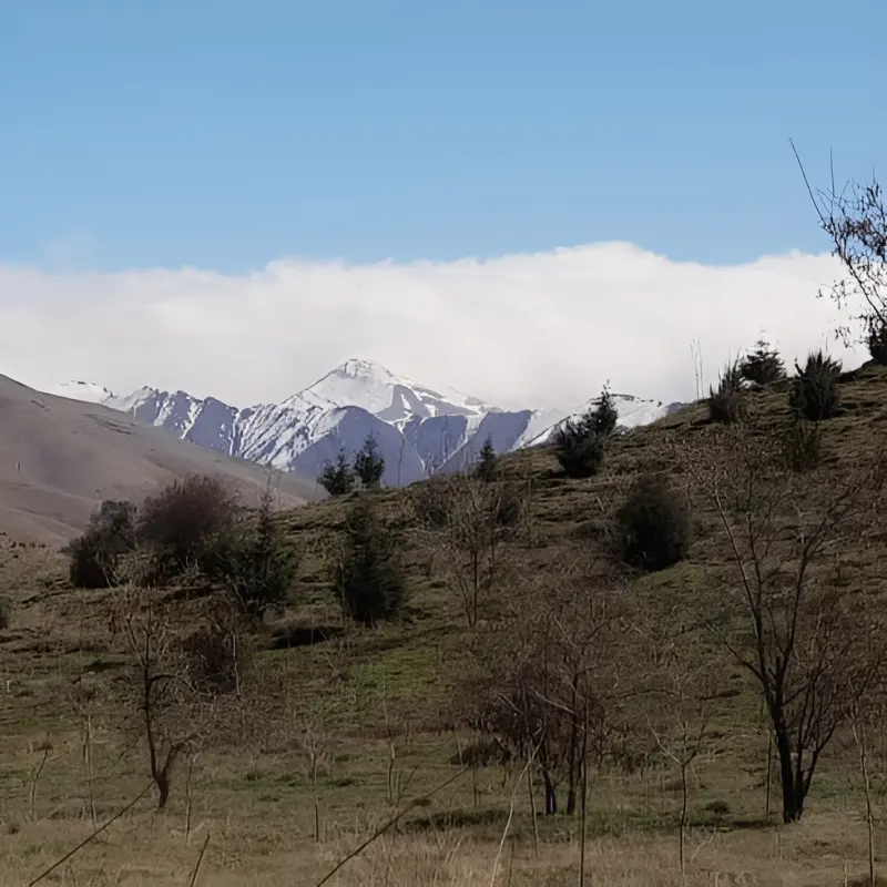 پارک جنگلی سوهانک - تصویر 5