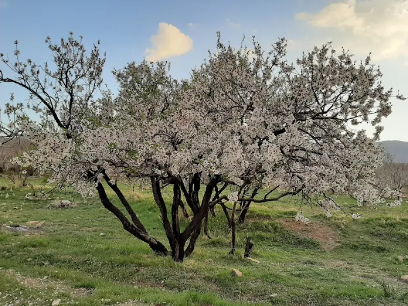 منطقه تنگ صیاد - تصویر 2
