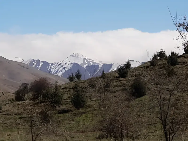پارک جنگلی سوهانک - تصویر 5