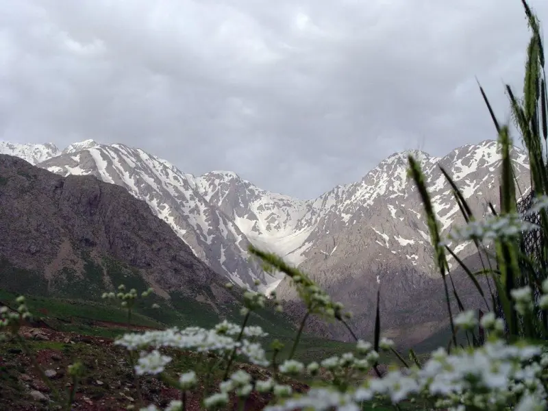 سفید کوه