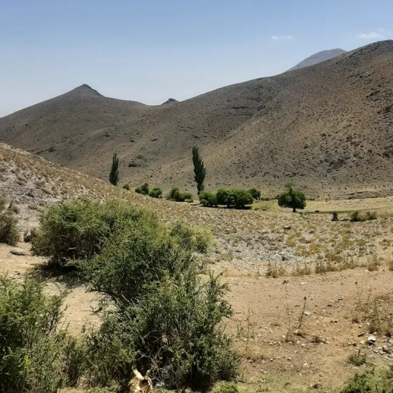 روستای ویدوجا - تصویر 1