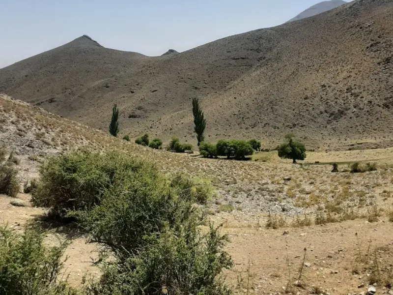 روستای ویدوجا - تصویر 1