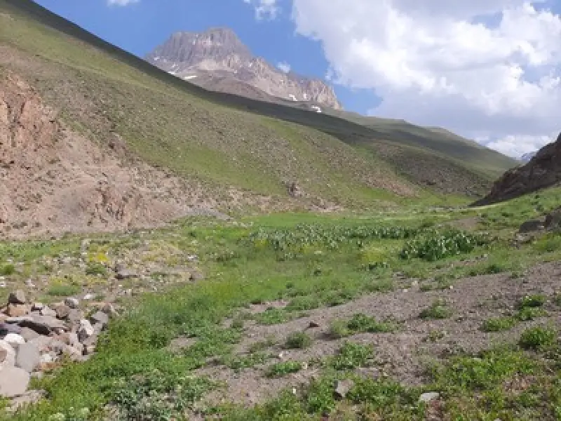 آزادکوه - تصویر 5