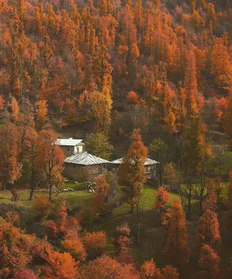 جنگل پلنگ دره، مازندران