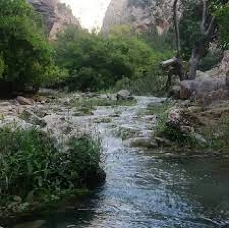 تنگ جزین - تصویر 3