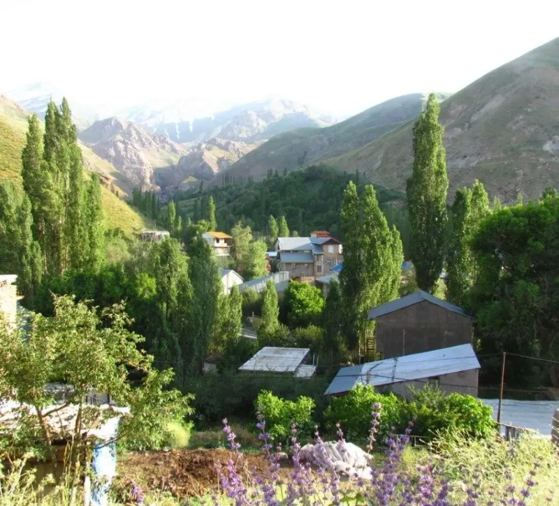 روستای گته ده - تصویر 4