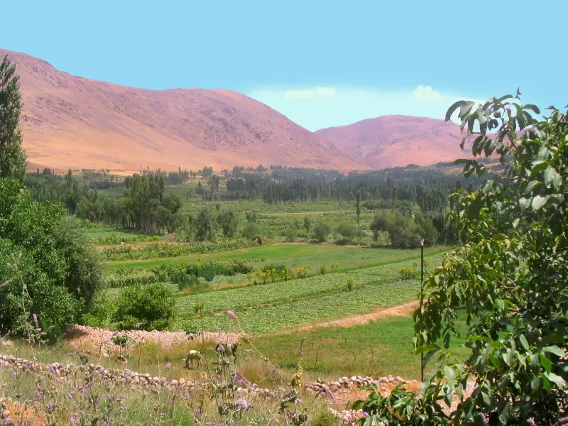 روستای ونایی - تصویر 5