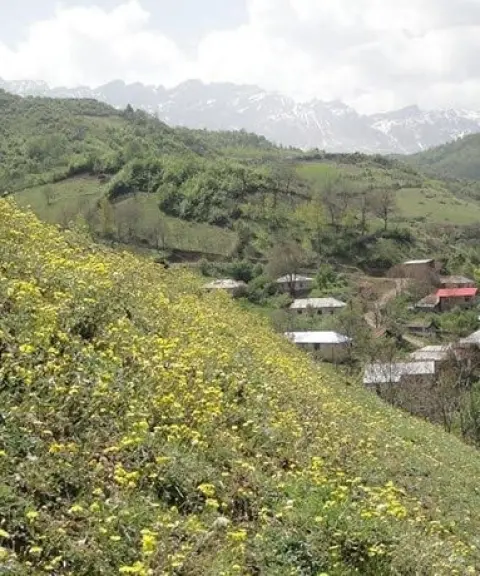 روستای پاجی، مازندران