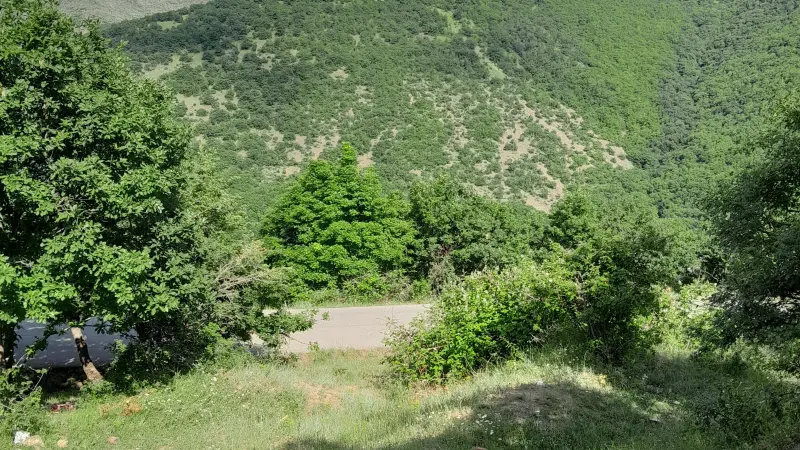 پارک جنگلی مکیدی - تصویر 1