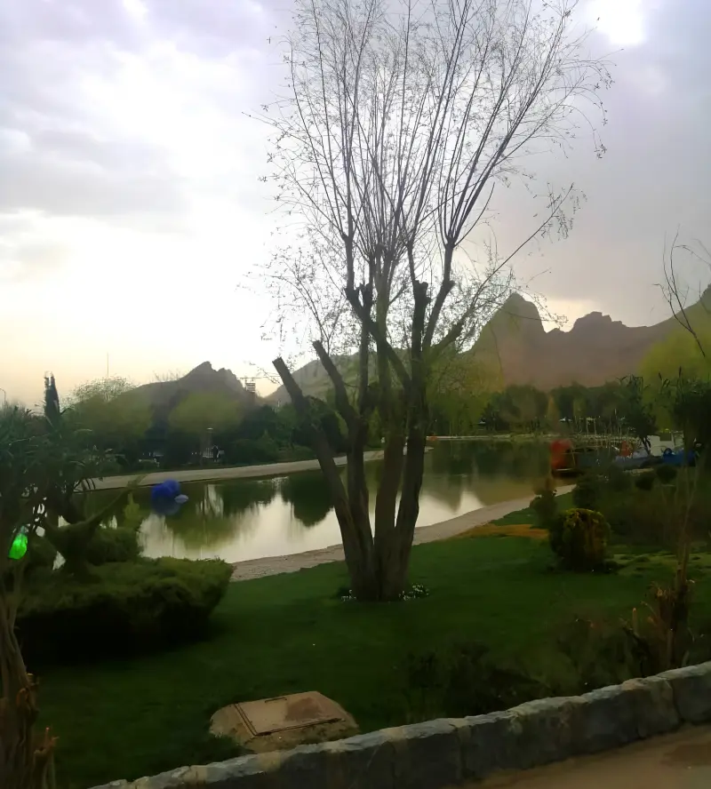 دریاچه زیتون - تصویر 1