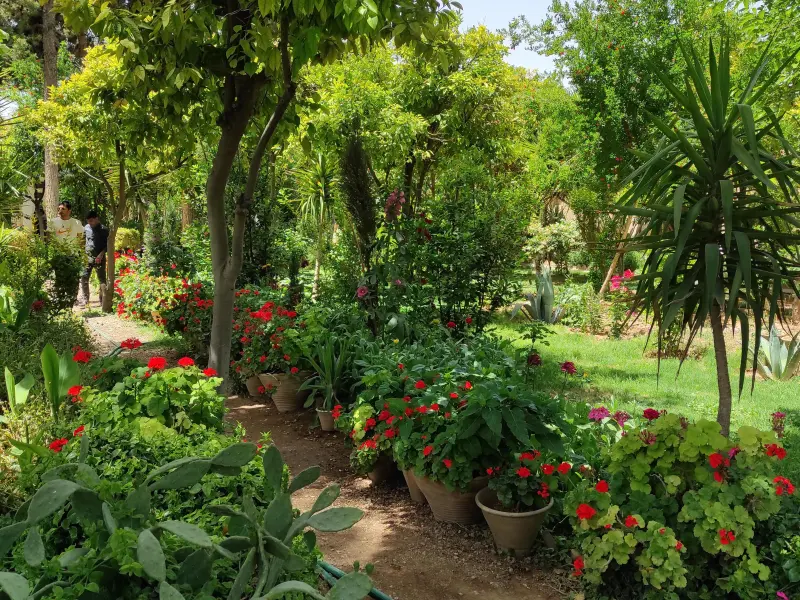 باغ موزه هفت تنان - تصویر 3