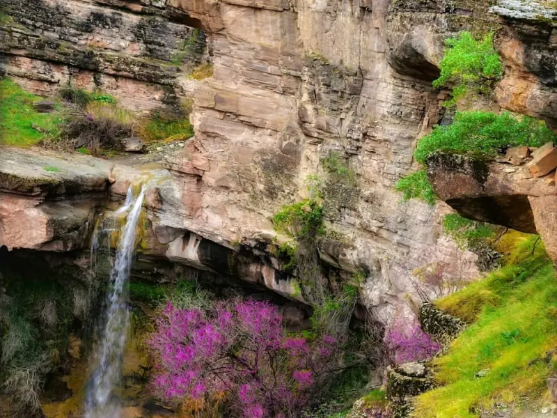 آبشار دال آو - تصویر 2