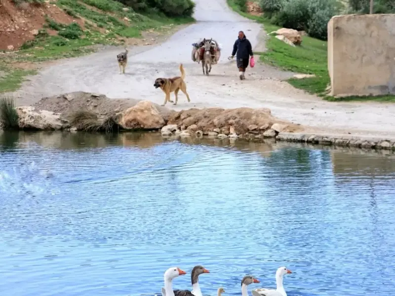 روستای ترجان - تصویر 2