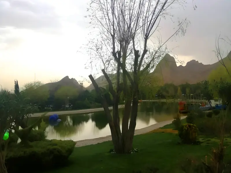 دریاچه زیتون - تصویر 1