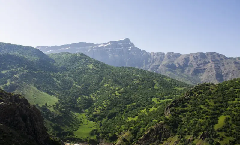 تالاب ازگن - تصویر 5