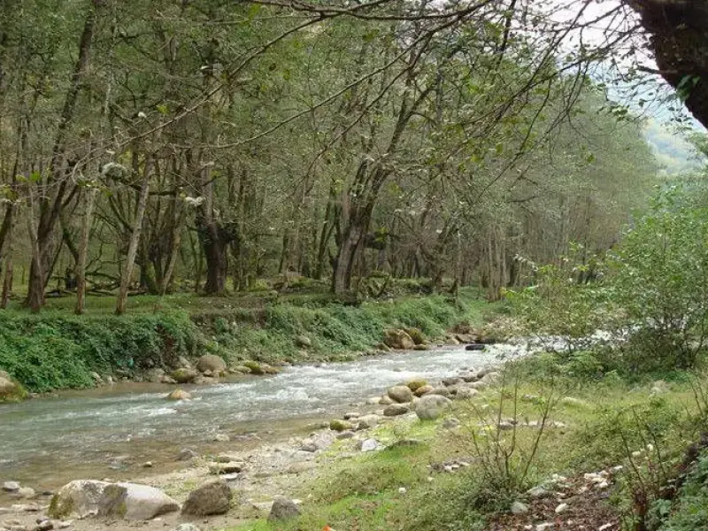 پارک جنگلی فین - تصویر 11